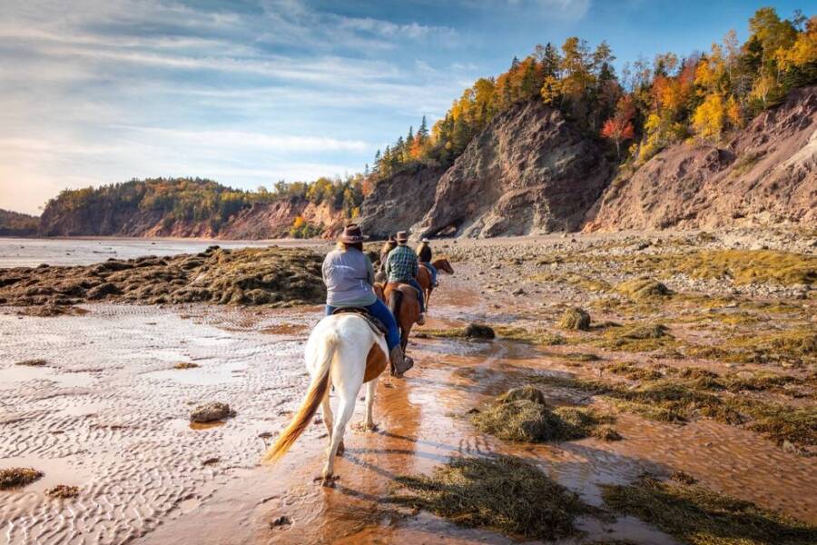 Nova Scotia's Bay of Fundy, Where in the World?